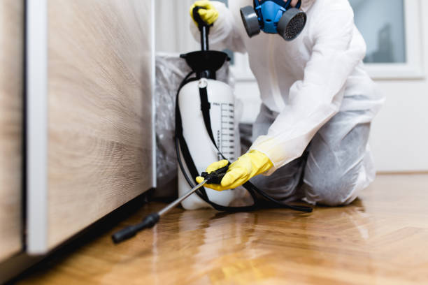 Best Bed Bug Extermination  in Emah, OK