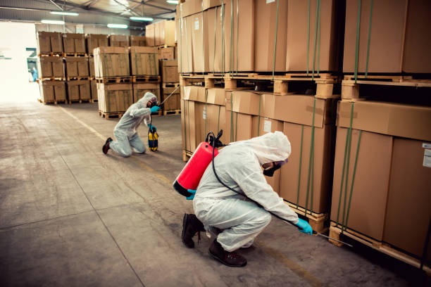 Best Affordable Pest Control Services  in Emah, OK