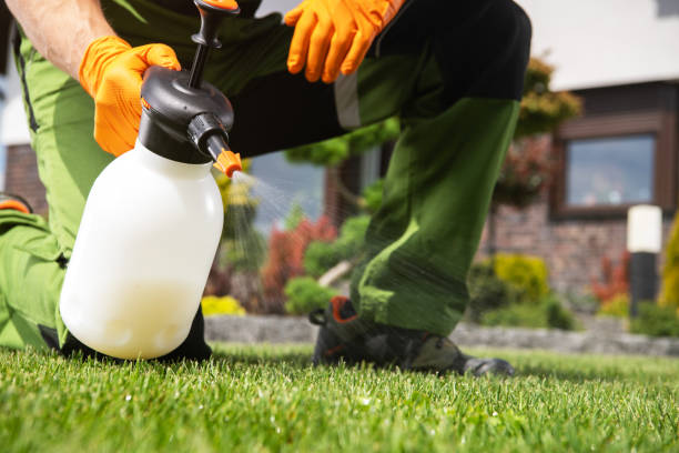 Best Pest Removal Services  in Emah, OK