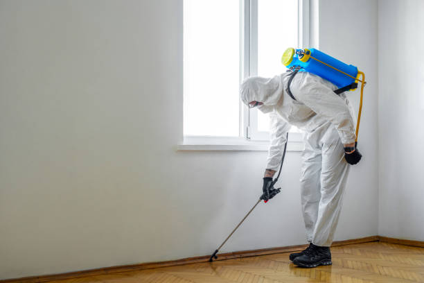 Best Insect Control  in Emah, OK