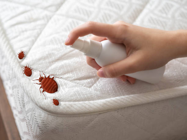 Best Local Pest Control Services  in Emah, OK