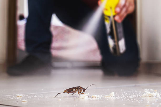 Best Exterminator Services  in Emah, OK