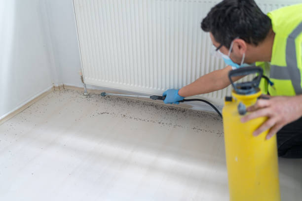 Best Ant Control Services  in Emah, OK